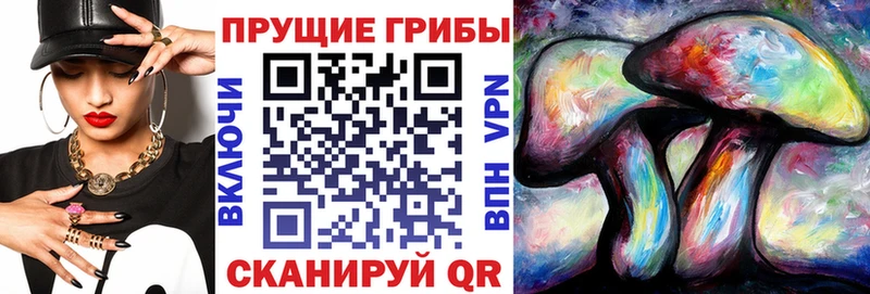 мориарти клад  мега ССЫЛКА  Гаджиево  Псилоцибиновые грибы мицелий 